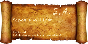 Sipos Apollinár névjegykártya